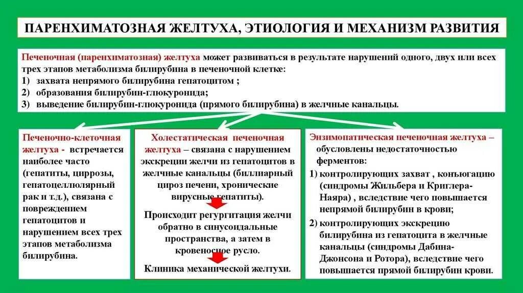 Этиология и патогенез паренхиматозной желтухи. Для паренхиматозной желтухи характерно. Механизм развития паренхиматозной желтухи. Для паренхиматозной желтухи характерно. Для паренхиматозной желтухи характерно.