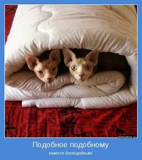 Подобное через подобное