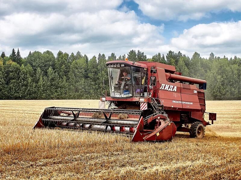 Сельское хозяйство игринского района ооо колос. Полеводство удмуртии. Сельхоз удмуртии. Сельхозугодия рб. Сельхоз удмуртии.