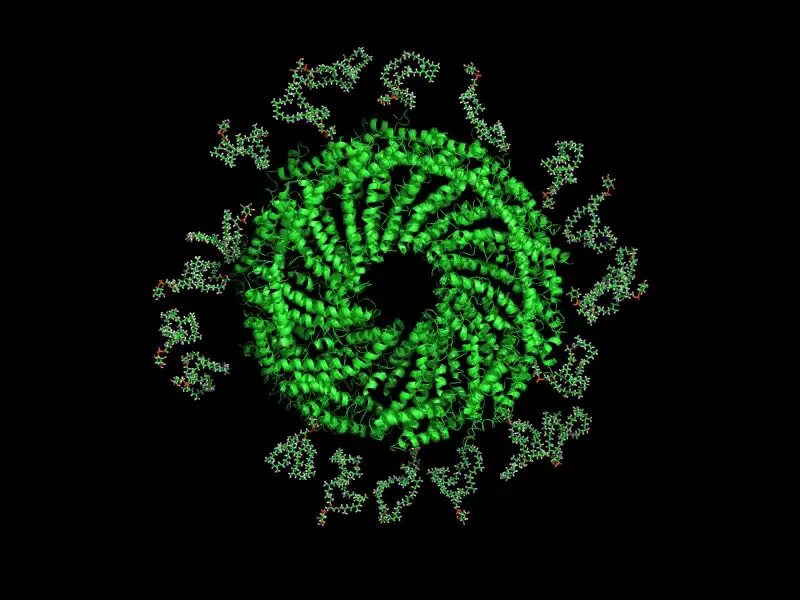 Вирусы анимированные. Вирус анимация. Вирус gif. Вирусы компьютерные анимация. Virus js