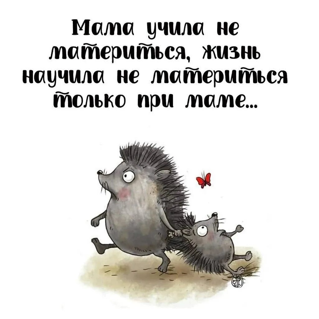 Жизнь научила цитаты. Не приучен к жизни. Мама учила не материться жизнь. Жизнь научила что нужно сочетать крайности. Не приучен к жизни.