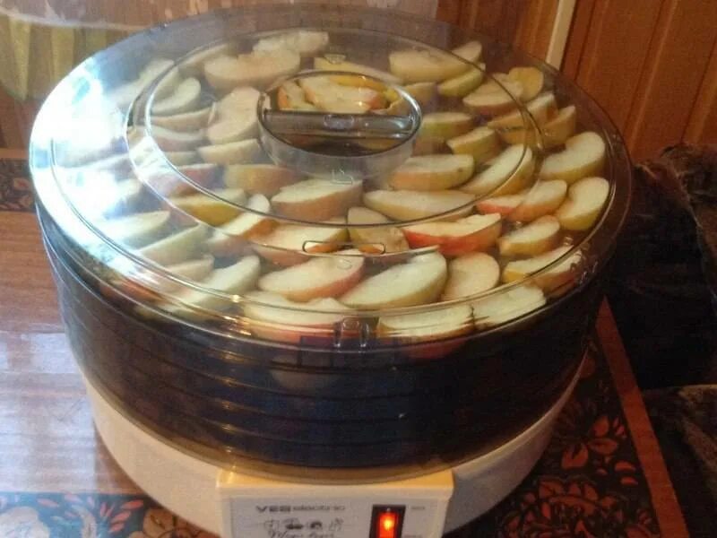 Можно сушить яблоки в духовке. Электросушилка для яблок. Сушка яблок. Сушёные яблоки в сушилке для фруктов. Сушка яблок в духовке.