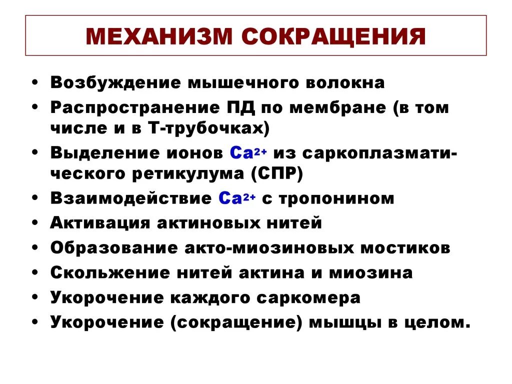 Механизм сокращения мышечного волокна. Механизм сокращения волокон скелетной мышцы. Физиологический механизм мышечного сокращения.. Механизм мышечного сокращения этапы. Типы пд