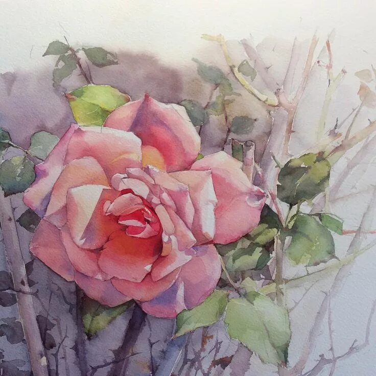Акварельные розы. Olena Duchene художник. Olena Duchene акварель.