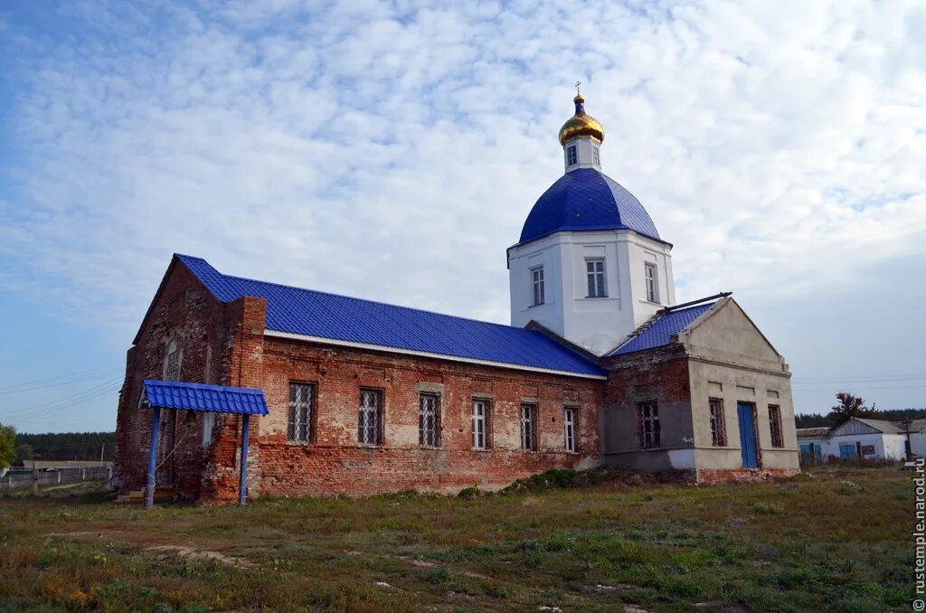 село хворостань воронежская область. селявное лискинский район. село селявное лискинского района. погода село лискинское воронежская. совхоз 2 пятилетка лискинского района воронежской области.