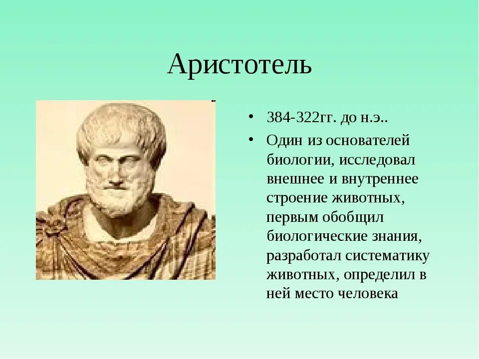 Аристотель (384-322 гг. до н.э.). Древняя Греция Аристотель. Аристотель портрет.