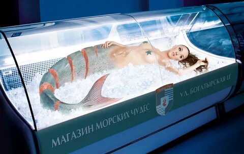 Рыба слоган