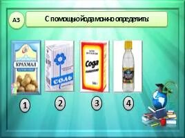 Окружающий мир 3 класс тест разнообразие веществ