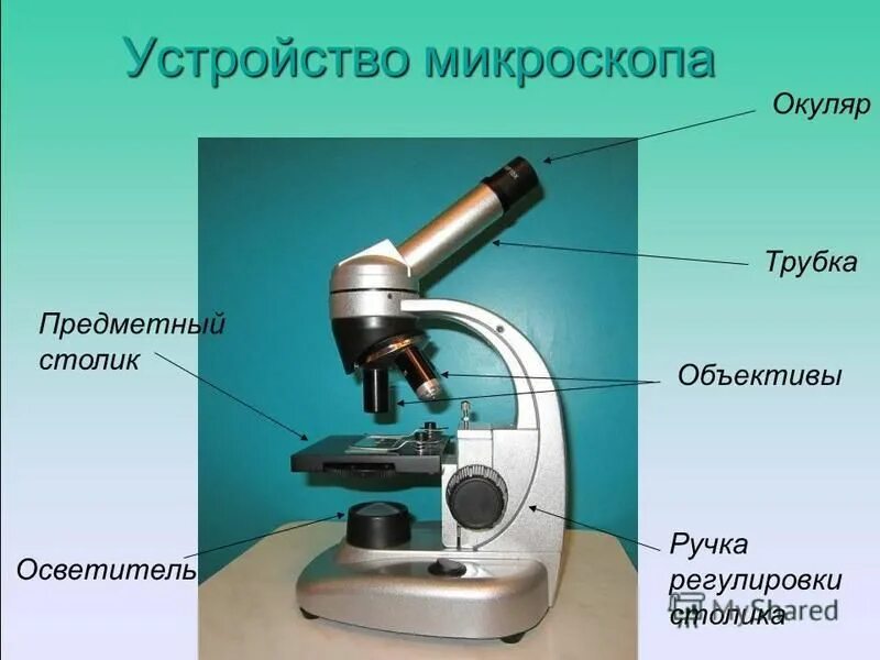 Какую функцию выполняет столик в микроскопе. Окулярная трубка микроскопа. Окулярная трубка микроскопа Назначение. Окулярная трубка для микроскопа м-9. Световой микроскоп строение.