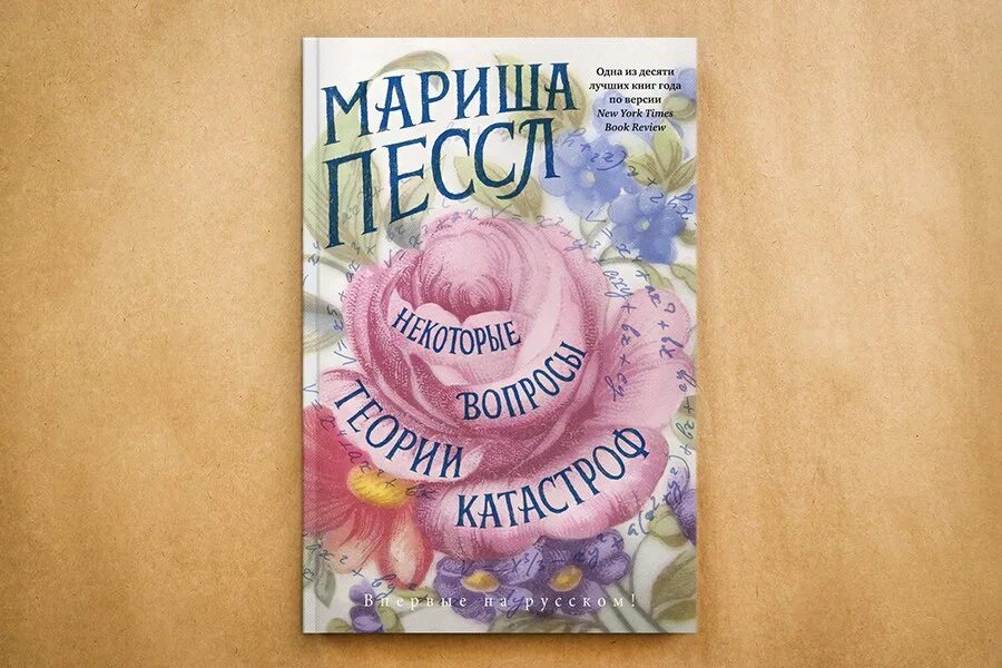 Некоторые вопросы теории катастроф. Некоторое вопросы теории катастроф. Хотя некоторые вопросы