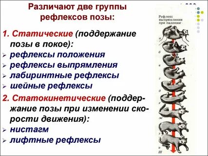 Поддержание позиций