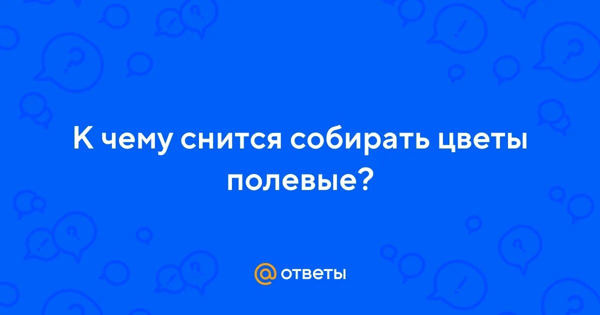 Поле с васильками. Яркие полевые цветы. Луговые цветы. Растения луга василек луговой. Сонник полевые цветы.