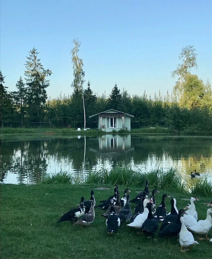 парк отель можайское водохранилище. парк отель можайский. парк отель красновидово можайский. парк отель красновидово можайский. красновидово база отдыха можайское водохранилище.