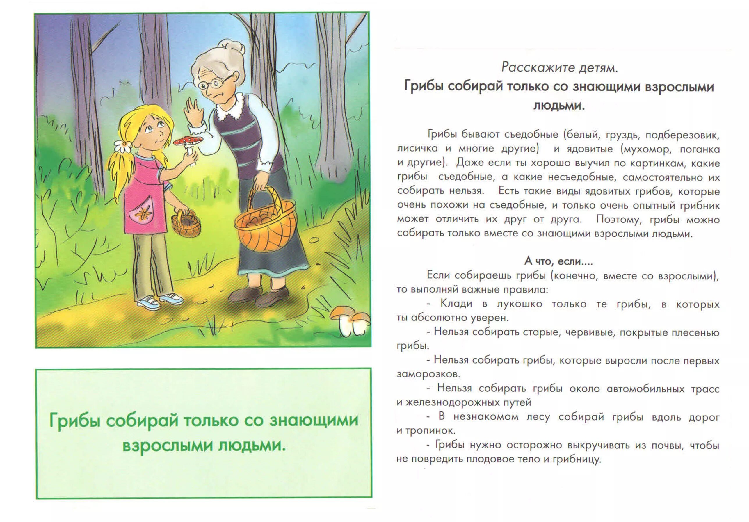 Елена ульева безопасность для малышей. Безопасность детей дошкольного возраста в летний период. Рассказы детям о поведении. Правила безопасности на летних каникулах. Рассказы детям о поведении.