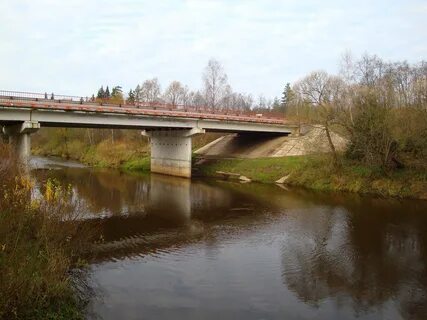 Дубна вербилки