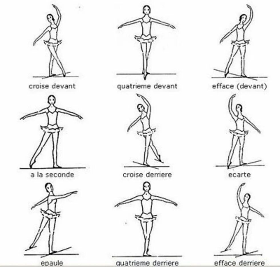 Названия движений человека. Схемы позиций в балете. Как называются позиции в балете. Наименование позиций в балете. Элементы в хореографии названия.