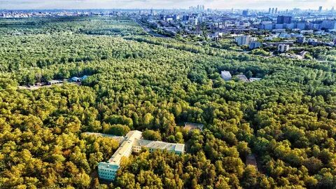 Крупнейший лесной массив в москве