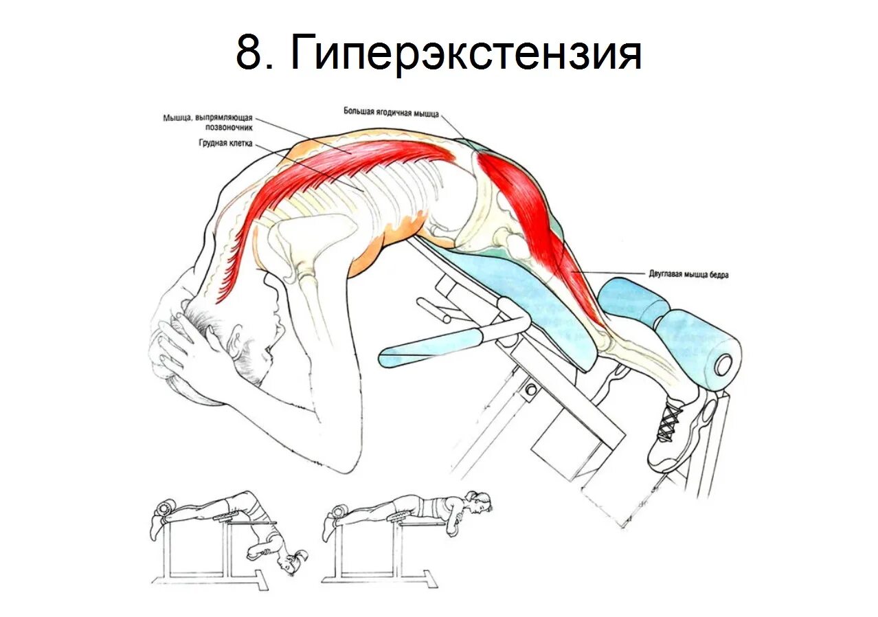 Раннее выпрямление туловища при выходе со старта