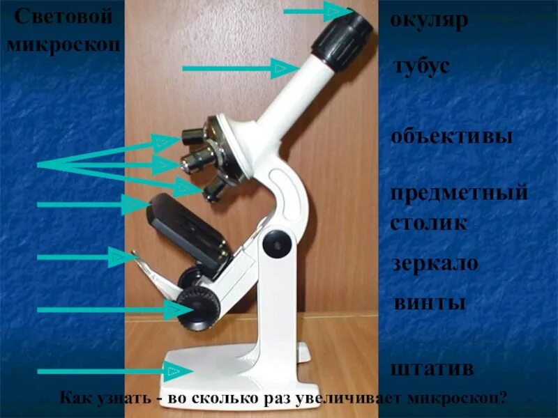 Какое увеличение дает данный микроскоп как узнать. Микроскоп каретка окуляра. Световой микроскоп. Увеличение микроскопа. Окуляр микроскопа.