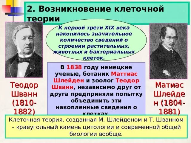 Первые клетки возникли. Возникновение клеточной теории. Появление клеточной теории. Теория возникновения клетки. Клеточная теория 1838.