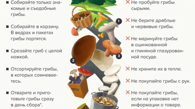 Собирать грибы перевод на английский. Советы грибникам. памятка как собирать грибы.