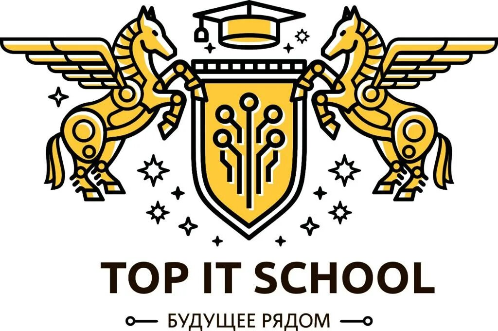 Частная школа top. Top it School. Логотип Академии Top. It школа логотип. Логотипы частных школ.