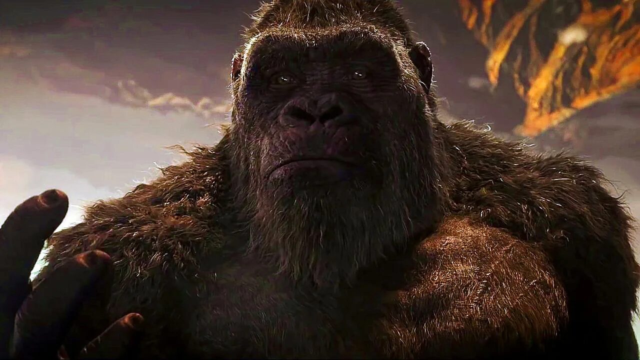 Рост кинг конга в фильме конг остров черепа. Kong игрушка интерактивная для крупных собак wobbler. Кинконг питера джексона. King kong gba. Кинг конг 2005.