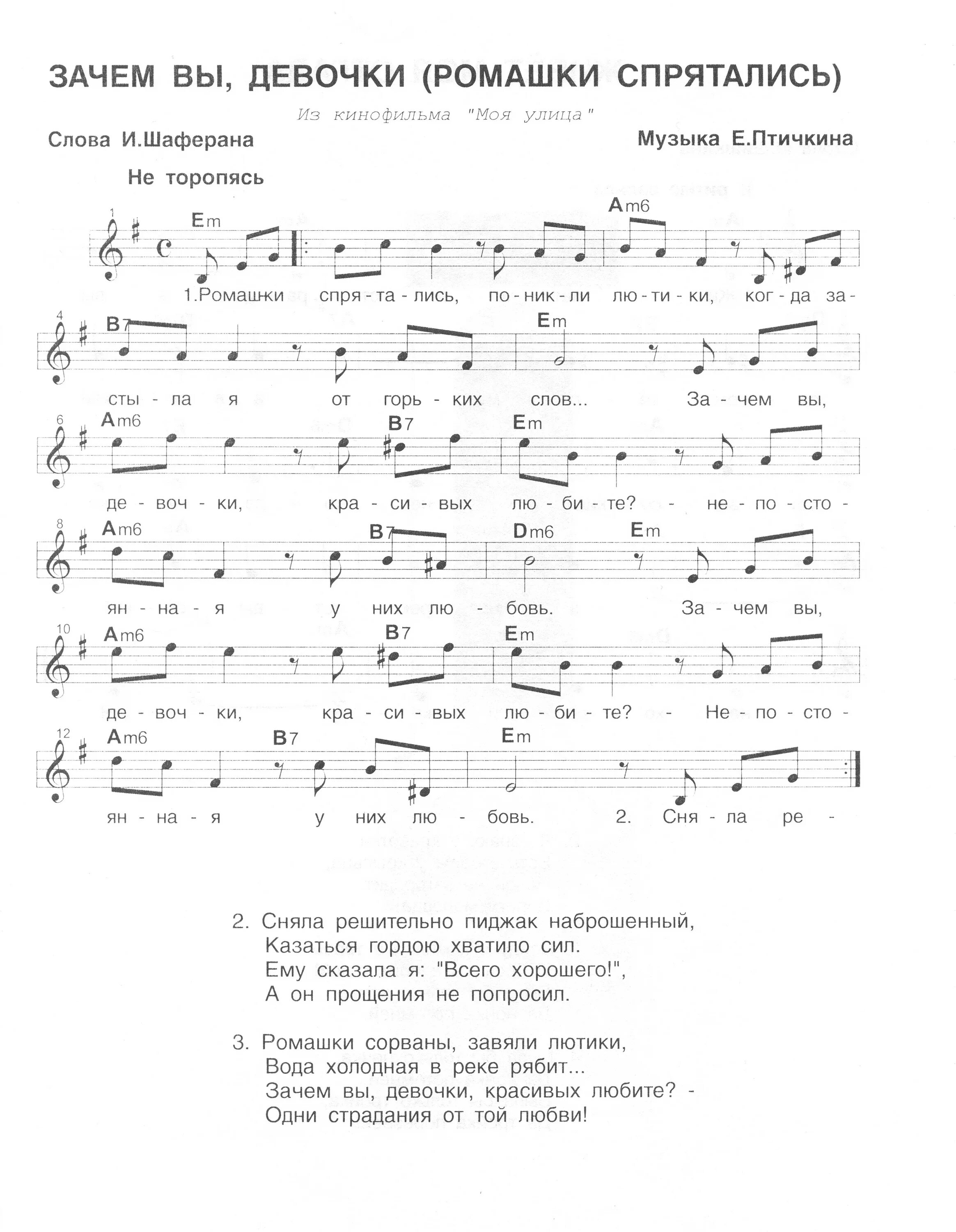 стихи о ромашках красивые. текст ромашка ромашка. ромашков текст. стихи про ромашки и любовь. стих про ромашку короткий.