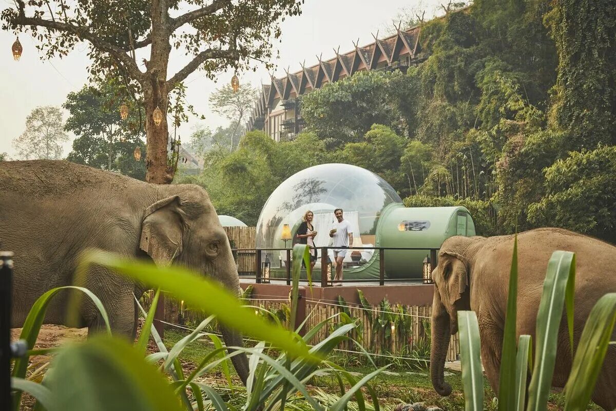 Anantara Golden Triangle Elephant Resort. Anantara Golden Triangle Elephant Camp & Resort. Anantara Elephant Camp. Лагерь слонов в Таиланде.