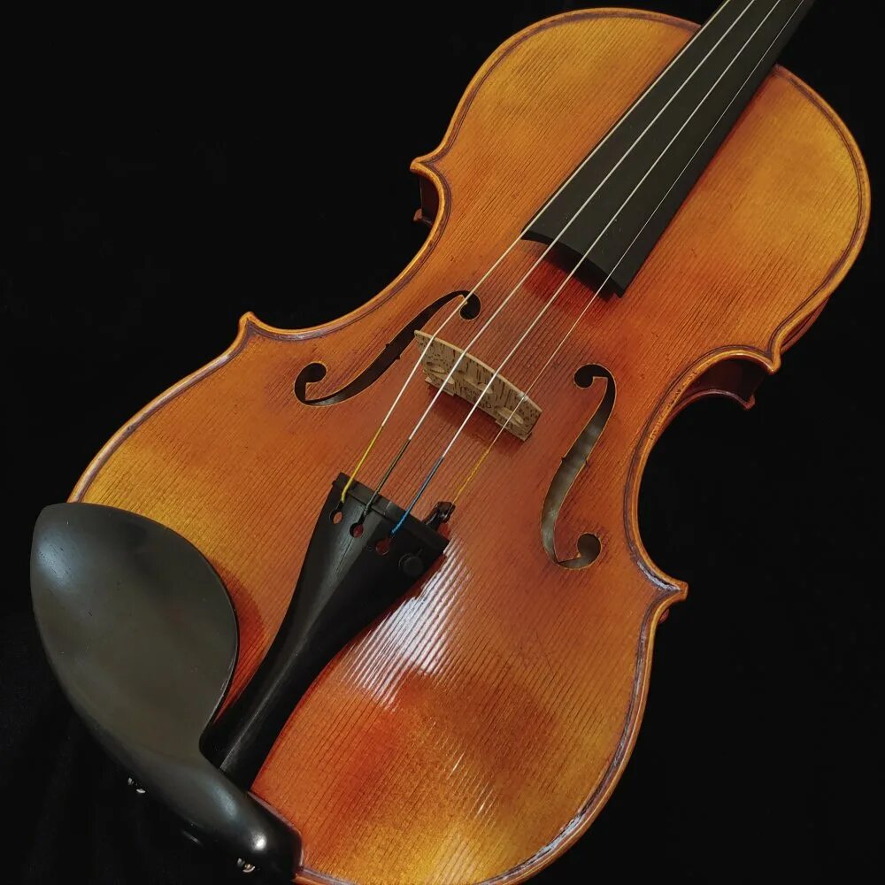 E violins. Скрипач Гржимали. Scott cao 750. Bella cao скрипка.