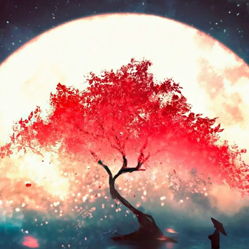 Сакура дерево. Сакура на фоне Луны. Сакура дерево ночью.