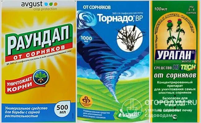 Средство уничтожающее деревья. Гербициды для уничтожения сорняков. средство против сорняков в огороде. гербицид от вьюнка на картофеле. средство от сорняков от березки.