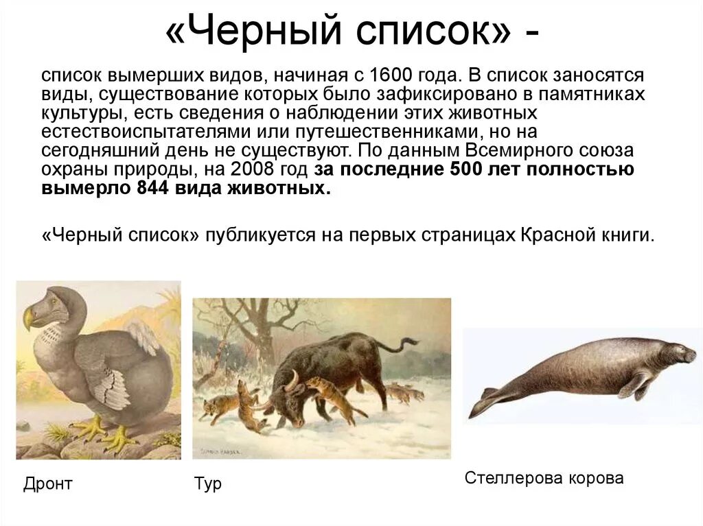 Картинки ВЫМЕРШИЕ ЖИВОТНЫЕ ЗАНЕСЕНЫ