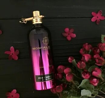 Montale starry nights