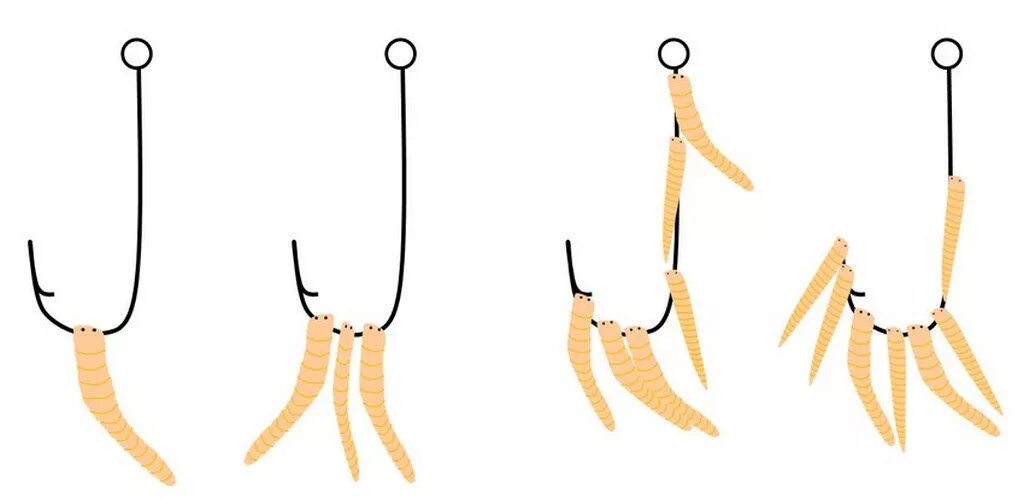 Как правильно насаживать опарыша на крючок. Как насаживать опарыша. Правильная насадка опарыша на крючок. Насадка опарыша на крючок для карася. Способы насаживания опарыша на крючок.