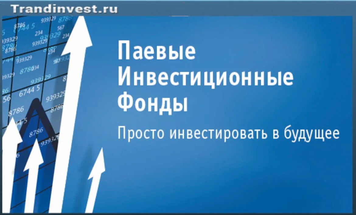 Инвестиционный фонд. Паевые инвестиционные фонды. Открытые инвестиционные фонды. Открытый паевой инвестиционный фонд. Информация о паевом фонде