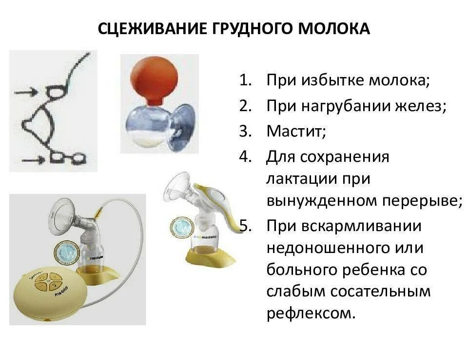 Сколько можно сцедить грудного. Как правильно сцеживать ручным молокоотсосом. Правильное ручное сцеживание молока. Сцеживание грудного молока. Как правильно сцеживать молоко.