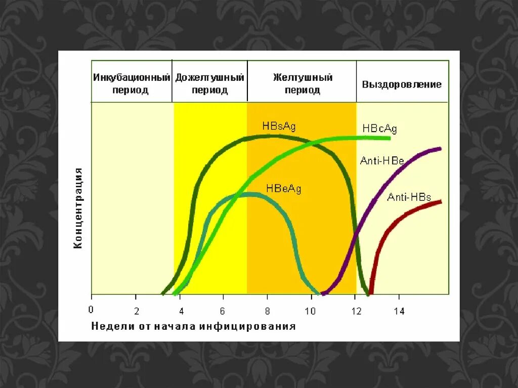 Острый гепатит маркеры. «Динамика диагностических маркеров гепатита. Антигенные маркеры гепатита в. Острый период вирусного гепатита с маркеры. Сывороточный маркер острого гепатита с.