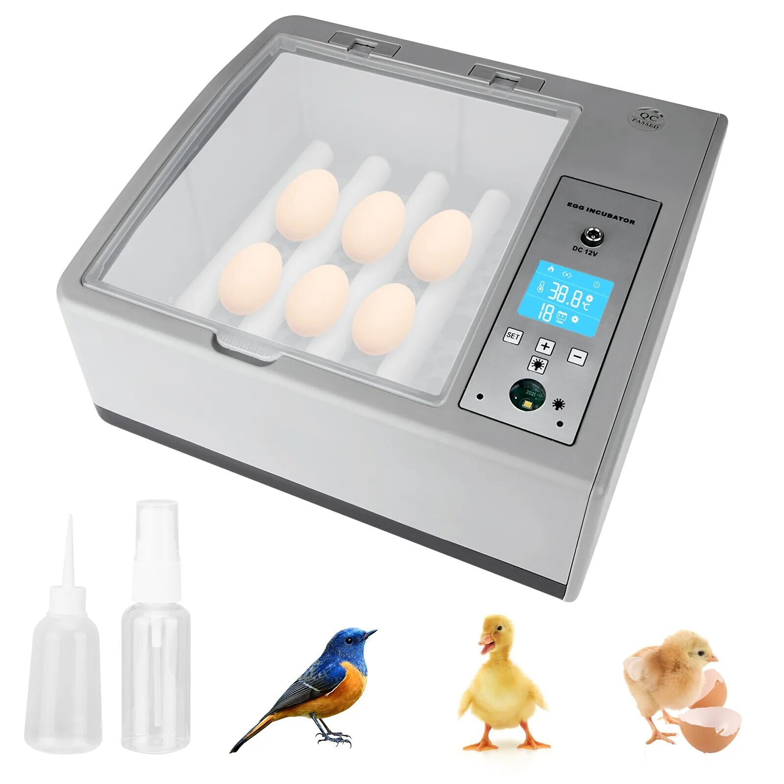 Egg incubator. Инкубатор 2021. Куриный инкубатор. Современный инкубатор для яиц.