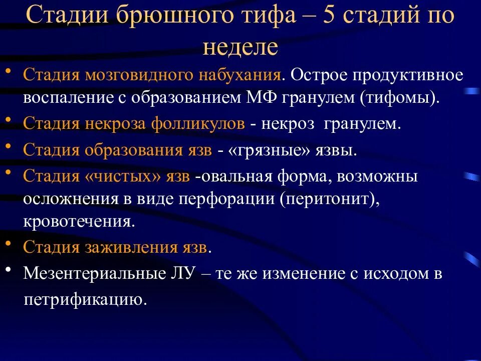 Стадии изменений при брюшном тифе. Брюшной тиф стадия образования язв. Стадии брюшного тифа патанатомия. Специфические осложнения брюшного тифа