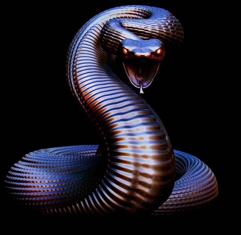 Snake x. Крутая змея. Мудрая змея. Черная змея. Змея 3д.