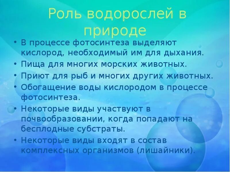 Водоросли презентация 3 класс. Доклад про водоросли. Водоросли доклад 3 класс окружающий мир. Водоросли их роль в кислороде. Откуда в воде кислород