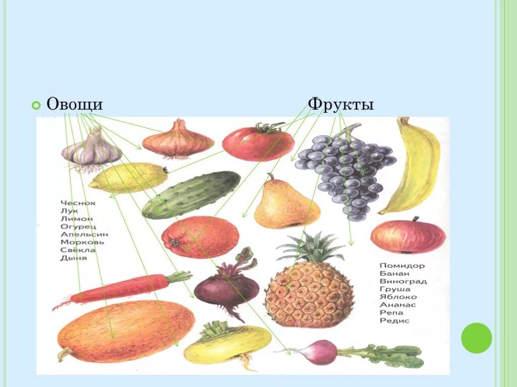 Окружающий мир овощи и фрукты. Овощи и фрукты окружающий мир 1 класс. Овощи 1 класс окружающий мир. Фрукты 1 класс. Фрукты урок 1 класс