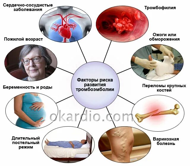 Факторы риска тромбоэмболии легочной артерии. Тромбоэмболии легочной артерии факторы риск. Факторы риска развития Тэла. Факторы риска возникновения Тэла. Тромбоз причины возникновения