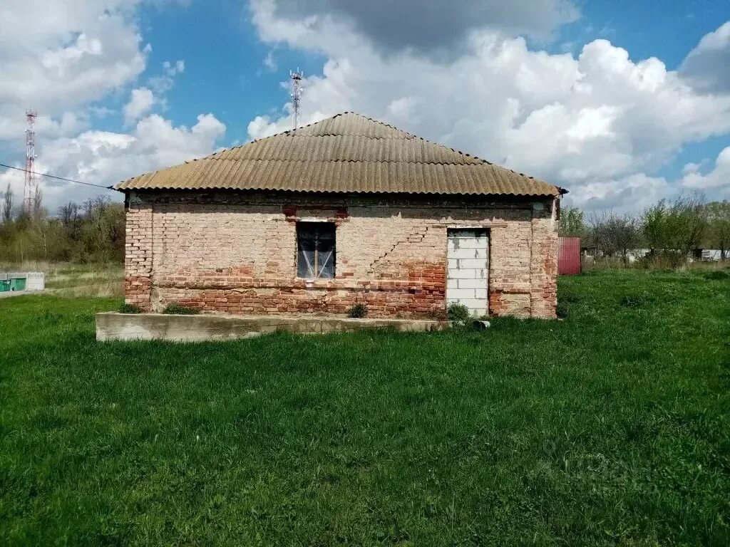 Погода в русской гвоздевке