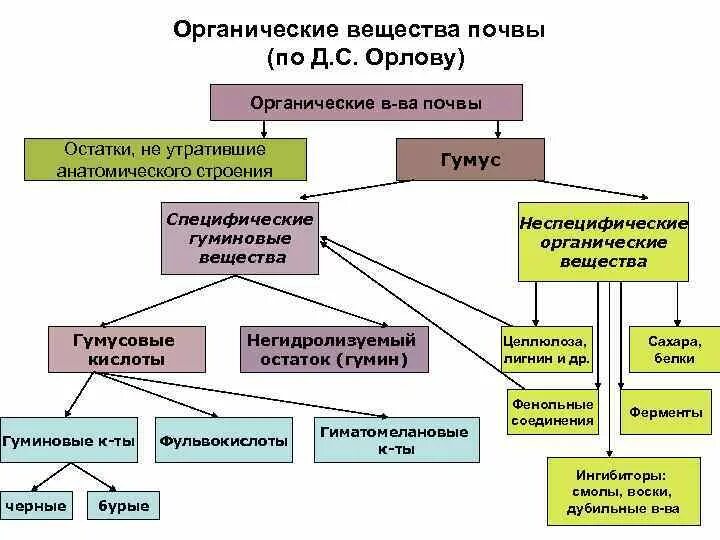 Минерализация гумуса. Образование и разложение гумуса. Органические соединения в почве. Органические процессы в почве. Органическое вещество почвы.