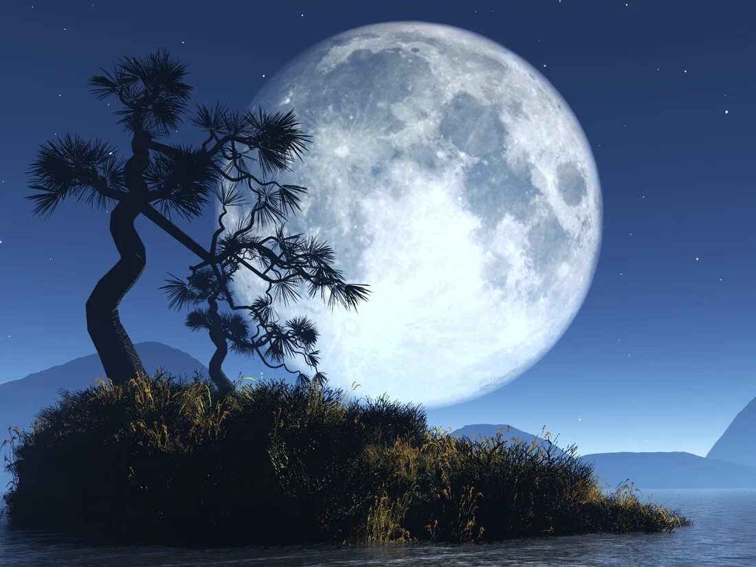 Сажать в полнолуние. Луна. Лунный пейзаж. Пейзаж с луной. Красивая Луна.