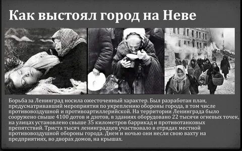 Описание жизни в войну