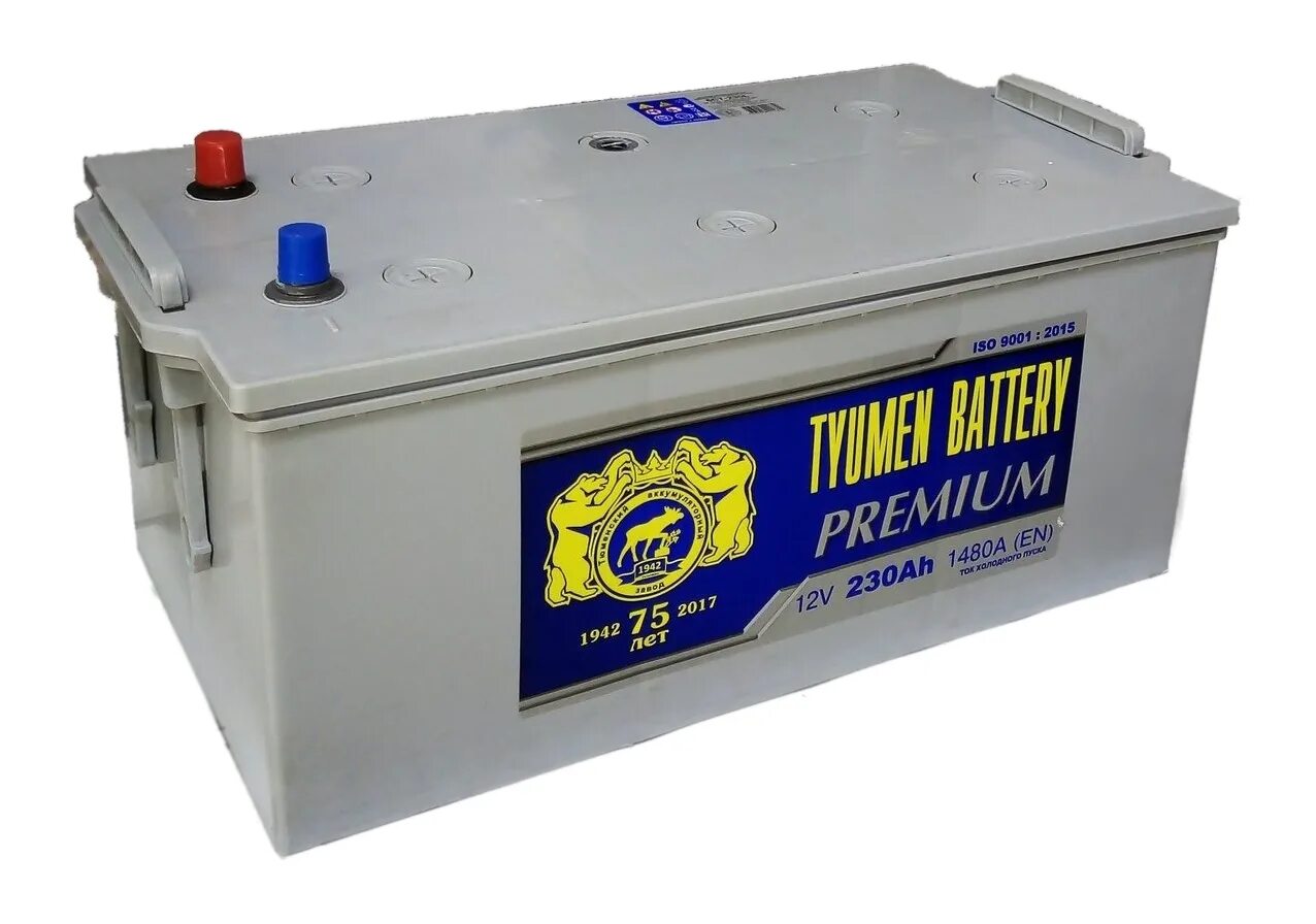 Аккумуляторы тюмень сайт. Аккумулятор Tyumen Battery Premium. АКБ Тyumen Battery Premium 6ст-50.1l. Аккумулятор Tyumen Battery Premium 6ст-220lr. Tubor EFB 6ст-190.3 АКБ.