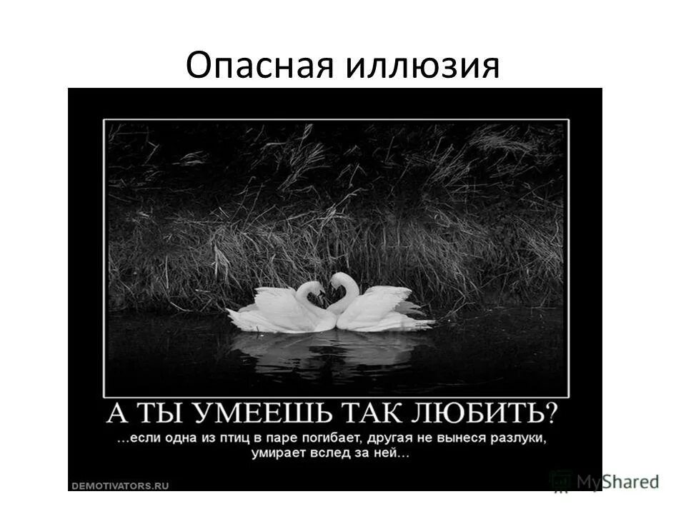 не умею любить. не умеешь любить дружи жванецкий. женщина не способна любить. женщина может любить так как будто никогда не. любить надо уметь.